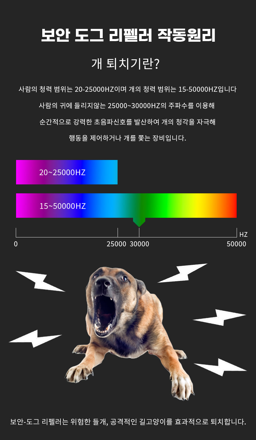 a07e1f67d2e13b112f44d604fe209922_1723958064_8296.jpg